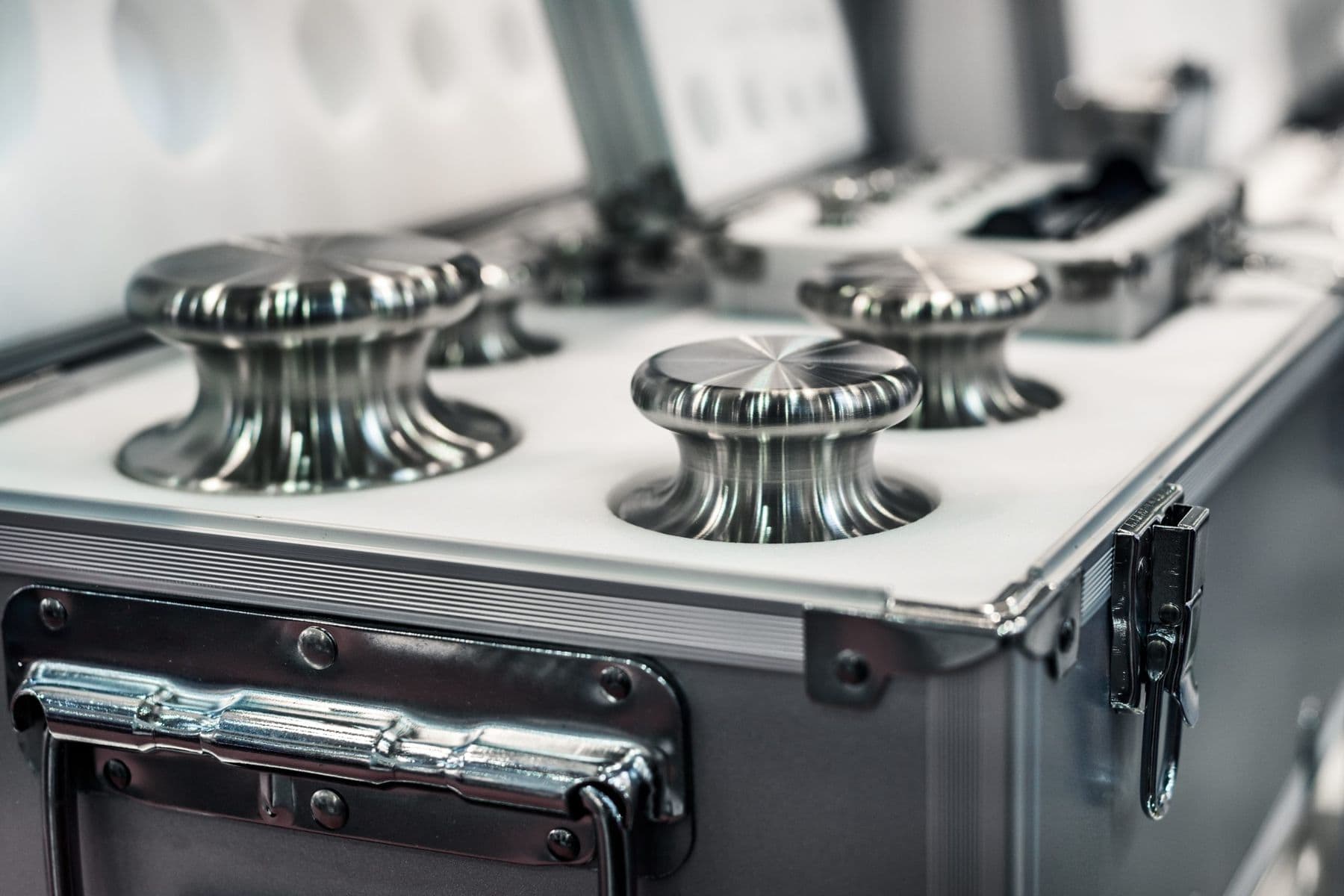 Large calibration weights in a protective case