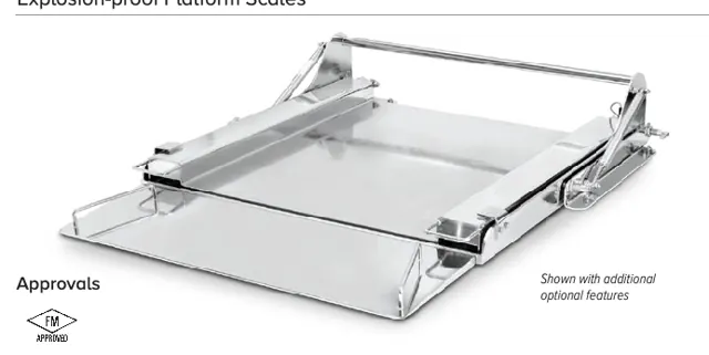 IF Series – Explosion-proof Platform Scales