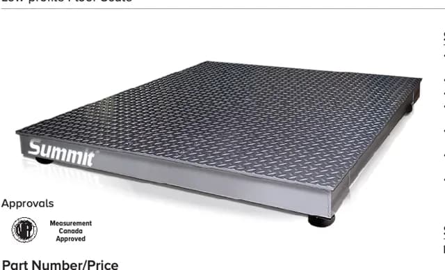 Summit® 3000 – Low-profile Floor Scale