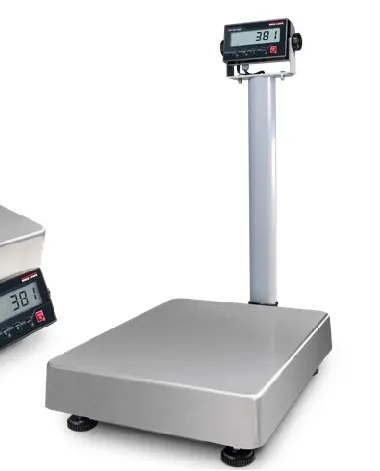 IGS-381 – Industrial General Scale with 381 Indicator Package